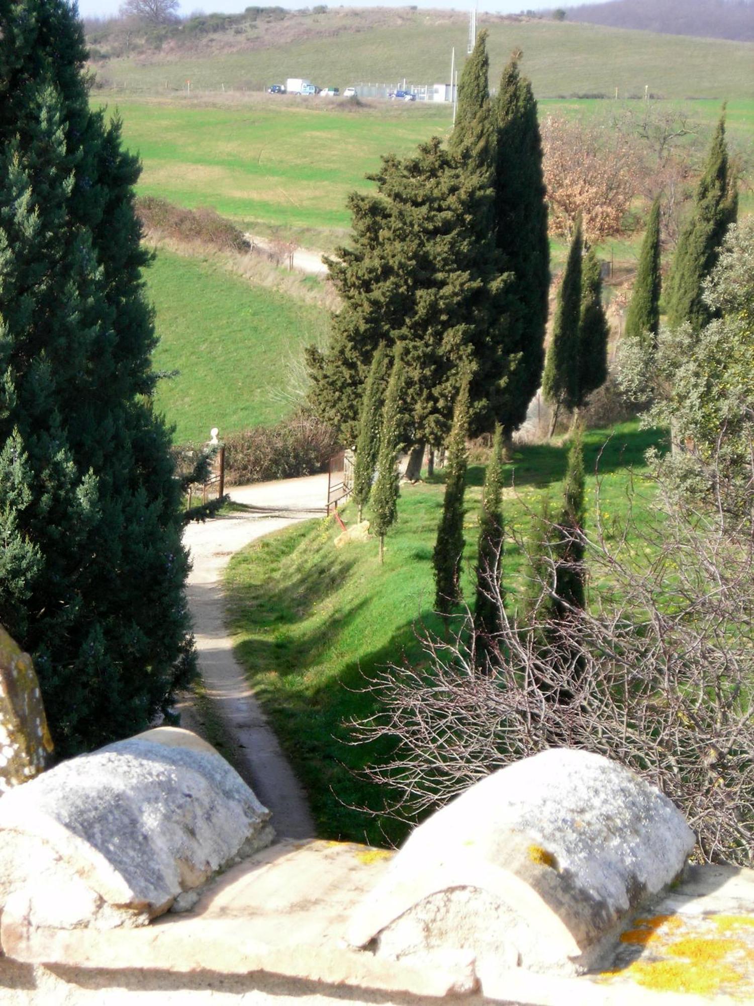 Agriturismo Il Cocco Montalcino Zewnętrze zdjęcie