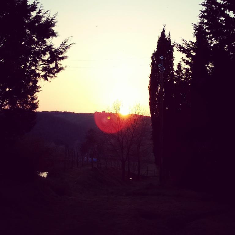 Agriturismo Il Cocco Montalcino Zewnętrze zdjęcie