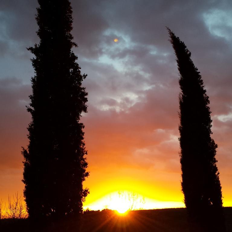 Agriturismo Il Cocco Montalcino Zewnętrze zdjęcie