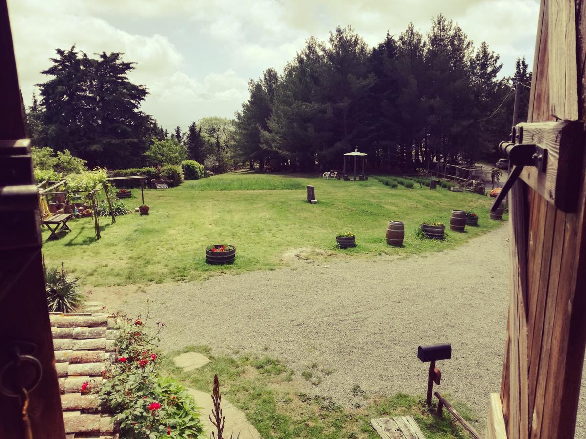 Agriturismo Il Cocco Montalcino Zewnętrze zdjęcie